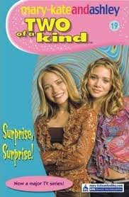Two of a kind suprise,suprise by Megan Stine