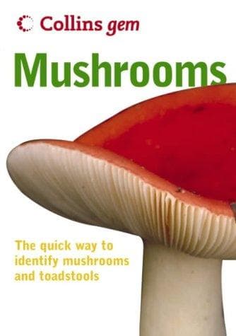 Mushrooms by Patrick Harding