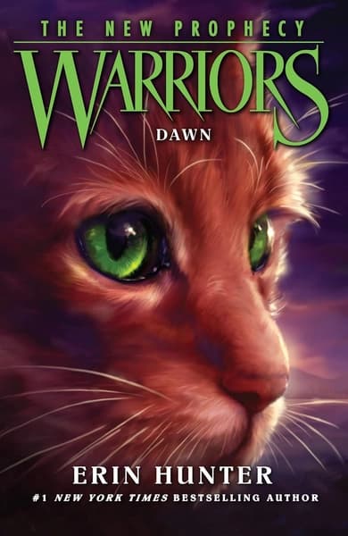 Dawn by Erin Hunter