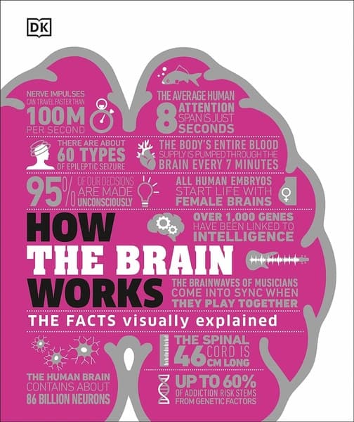 How the Brain Works by Dk