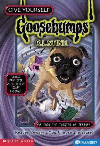 Into the Twister of Terror by R.L.Stine