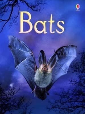 Bats by Megan Cullis, Connie Mclennan