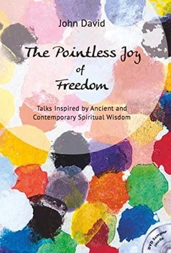 The Pointless Joy of Freedom by John David