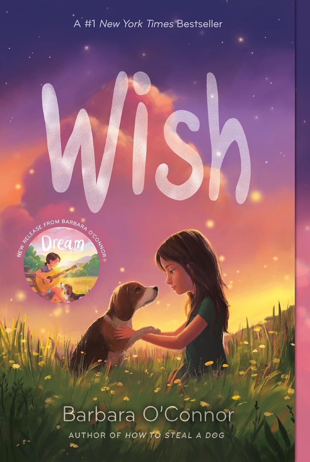 Wish by Barbara O'Connor
