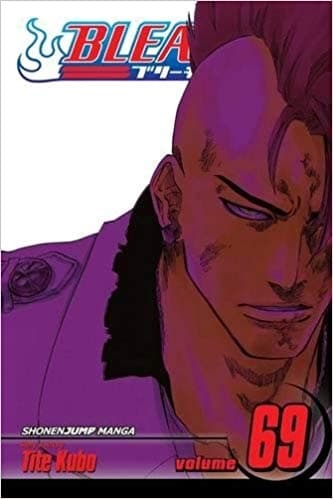 Bleach, Volume 69 by Tite Kubo
