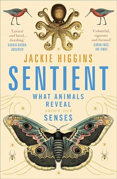 Sentient by Jackie Higgins