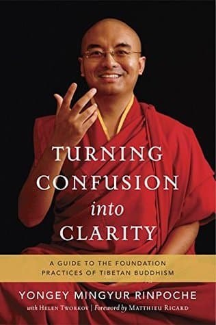 Shambhala Turning Confusion Into Clarity by Yongey Mingyur