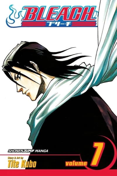 Bleach, Volume 07 by Tite Kubo
