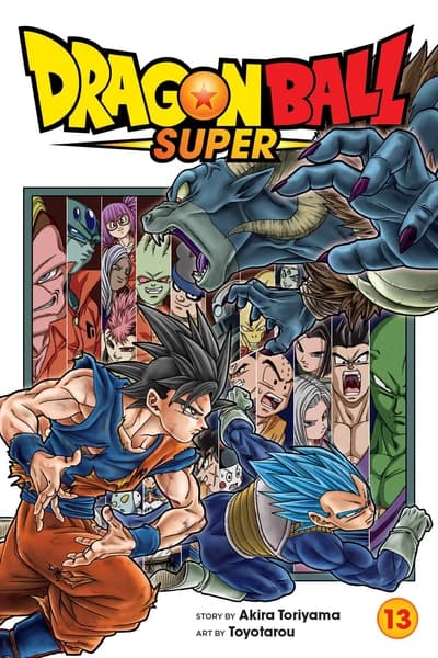 Dragon Ball Super, Vol. 13 by Akira Toriyama