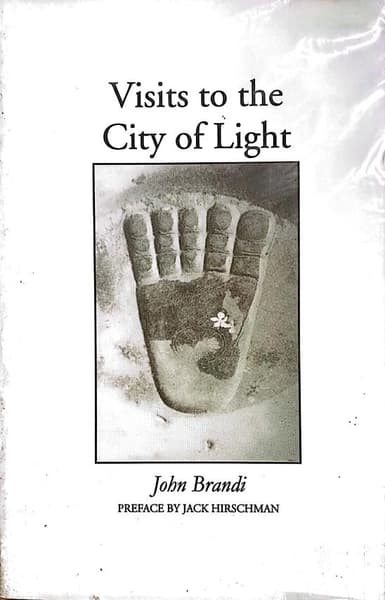 Visits to the City of Light by John Brandi