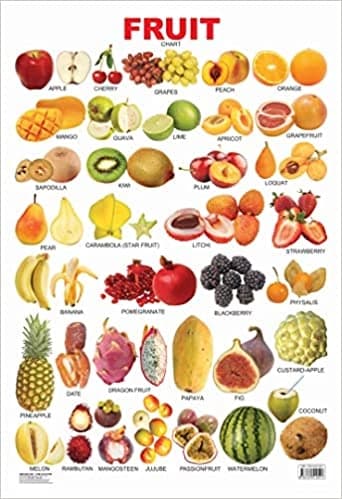 Fruits Chart by Dreamland Publication