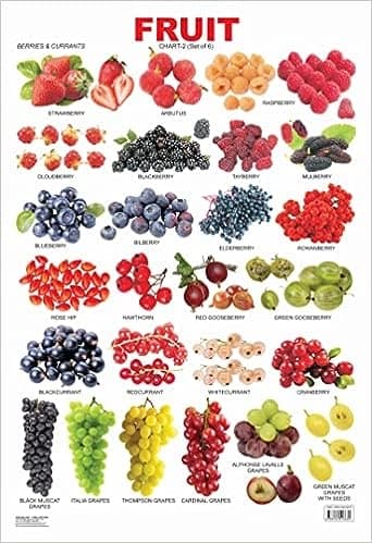 Fruit Chart - 1 by Dreamland Publication