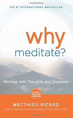 Why Meditate? by Matthieu Ricard