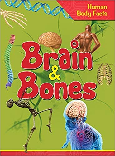 Human Body Facts: Brains & Bones by Unassigned