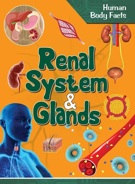 Human Body Facts Renal system & Glands by Unassigned