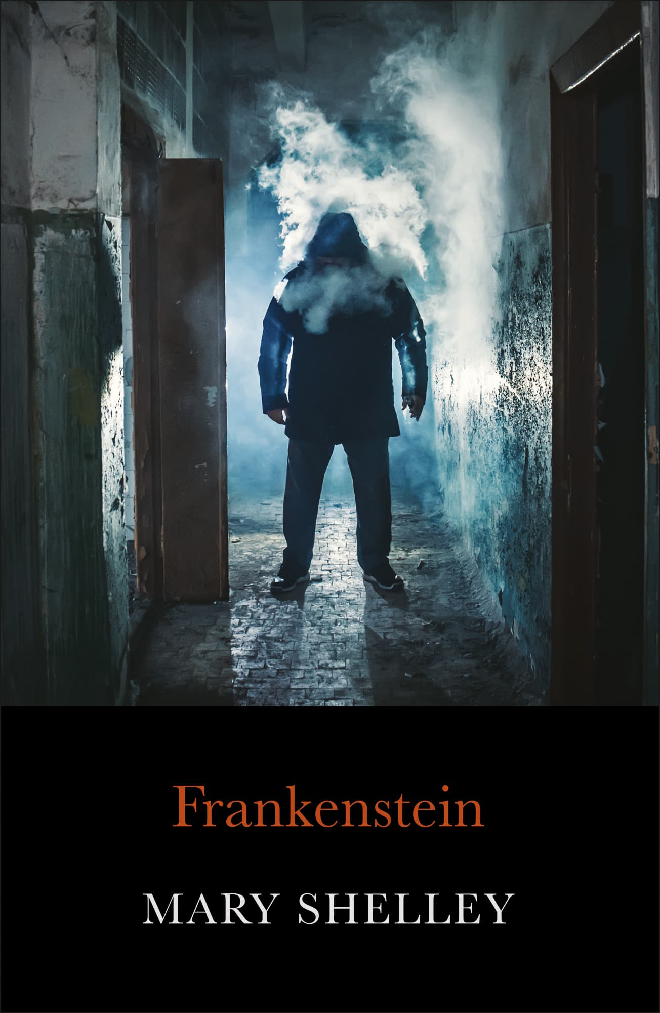 Frankenstein by Mark Shelley
