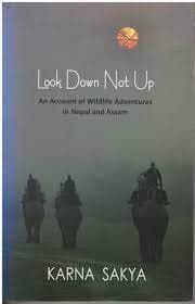 Look Down not up by Karna Sakya